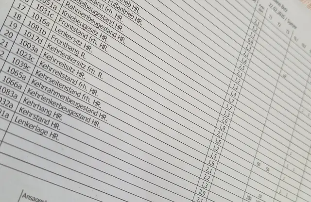 Ausschnitt eines Wertungsbogens nach durchgeführter Kür | Foto: |szip