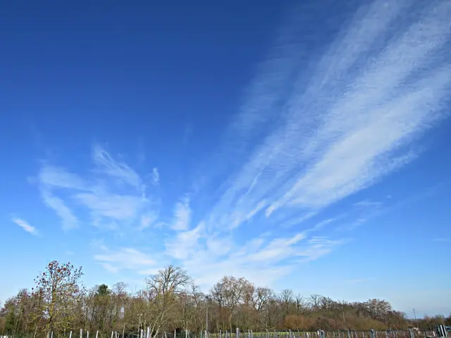 Herrliche Wolkenzeichnung am Himmel | Foto: Brigitte Melder