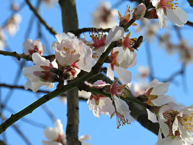 Foto: Brigitte Melder