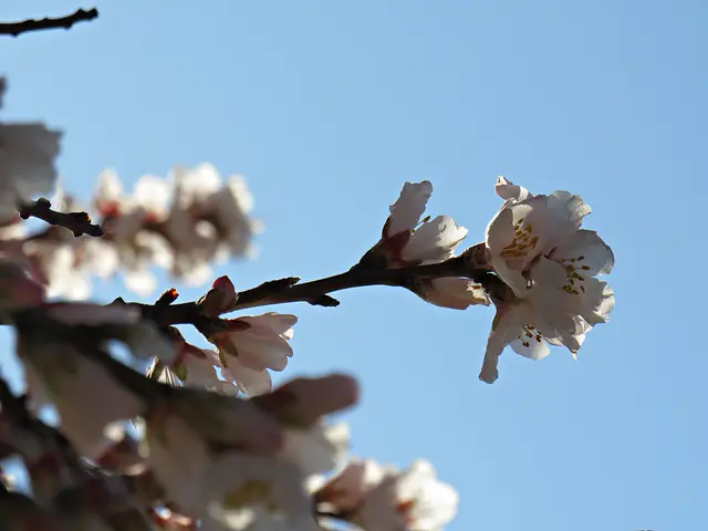 Foto: Brigitte Melder