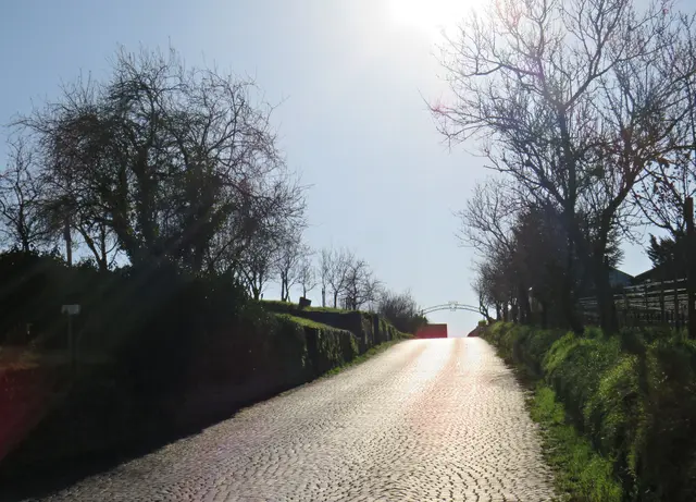 Foto: Brigitte Melder