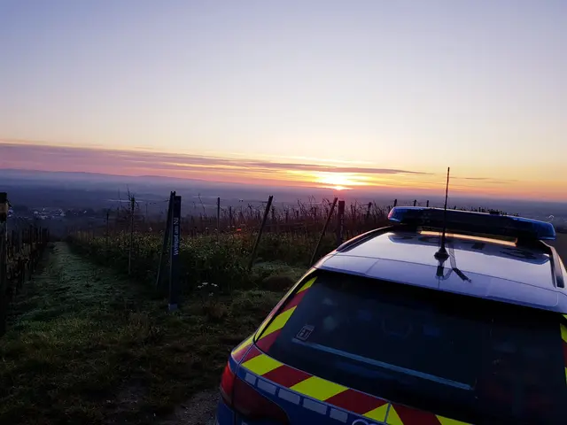 Streifenwagen | Foto: Polizeidirektion Neustadt/Weinstraße