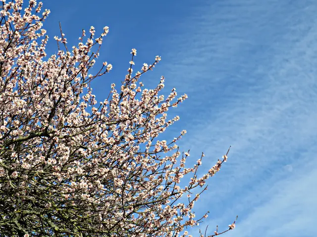 Foto: Brigitte Melder