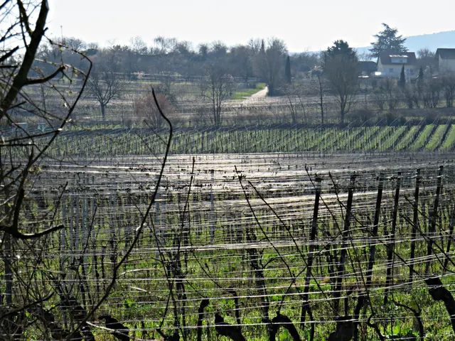 Foto: Brigitte Melder