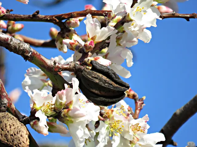 Foto: Brigitte Melder