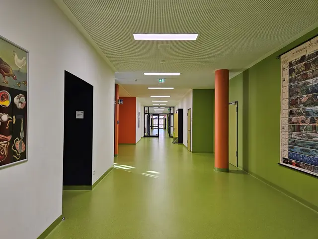 Der neue Fachklassentrakt am Schulzentrum Süd: Hell durchflutete Flure und moderne Klassenräume für kreatives Lernen | Foto: Stadt Kaiserslautern/gratis