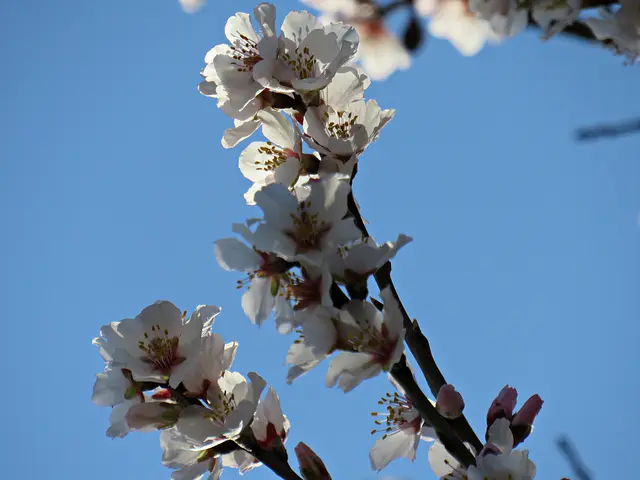 Foto: Brigitte Melder