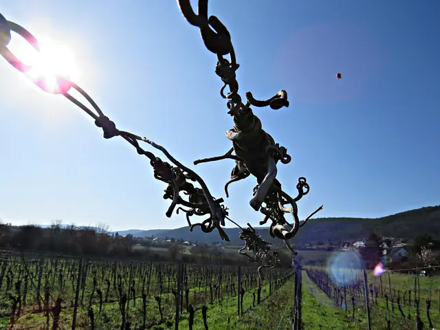 Foto: Brigitte Melder