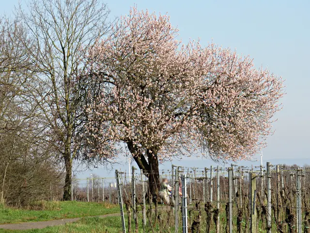 Foto: Brigitte Melder