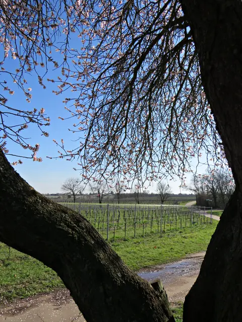 Foto: Brigitte Melder