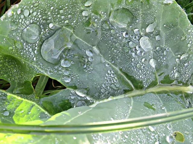 Foto: Brigitte Melder