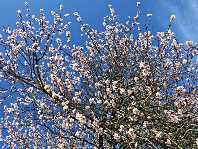 Foto: Brigitte Melder