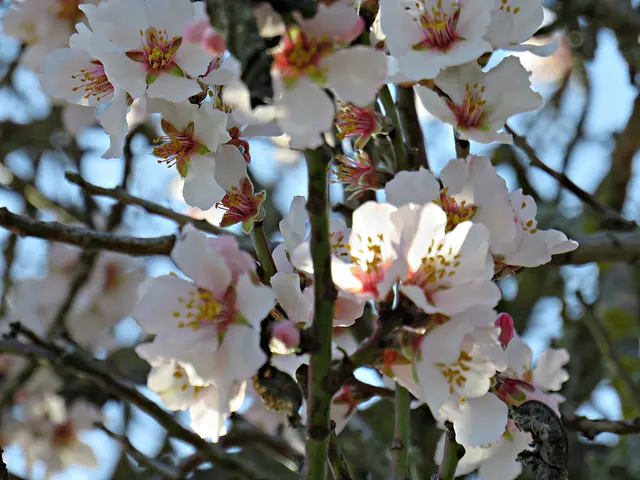 Foto: Brigitte Melder