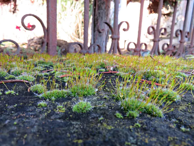 Foto: Brigitte Melder