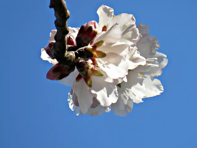 Foto: Brigitte Melder