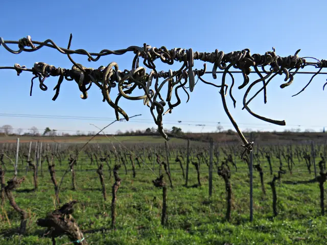 Foto: Brigitte Melder