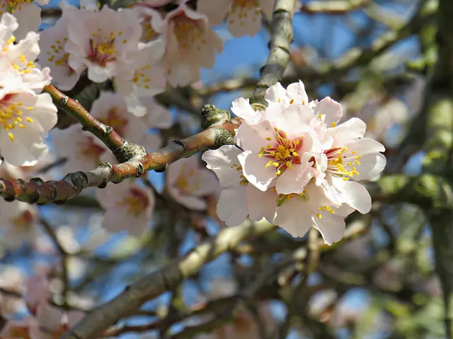 Jetzt gehts loooooooooos | Foto: Brigitte Melder