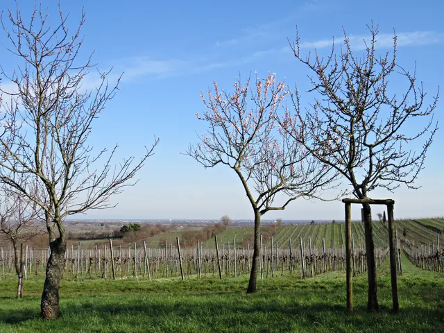 Foto: Brigitte Melder