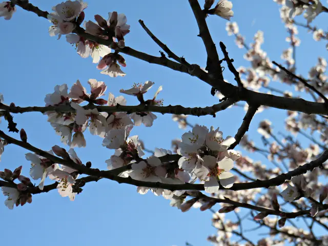 Foto: Brigitte Melder