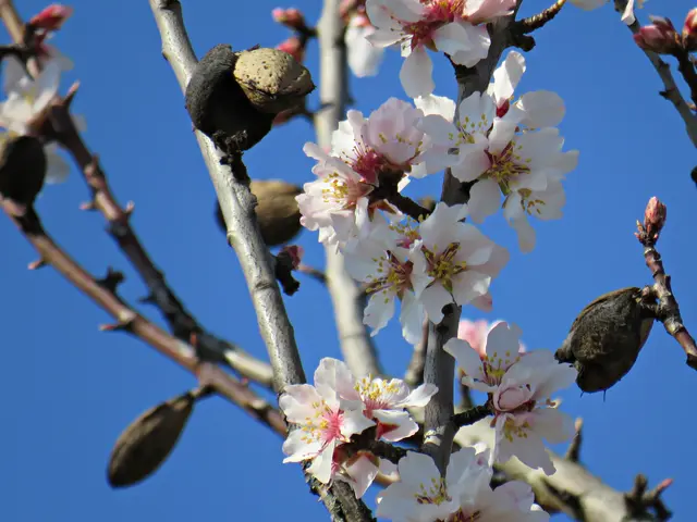 Foto: Brigitte Melder