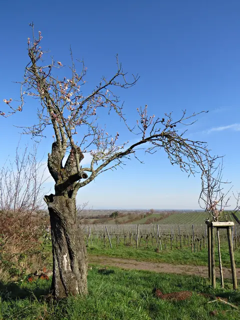 Foto: Brigitte Melder