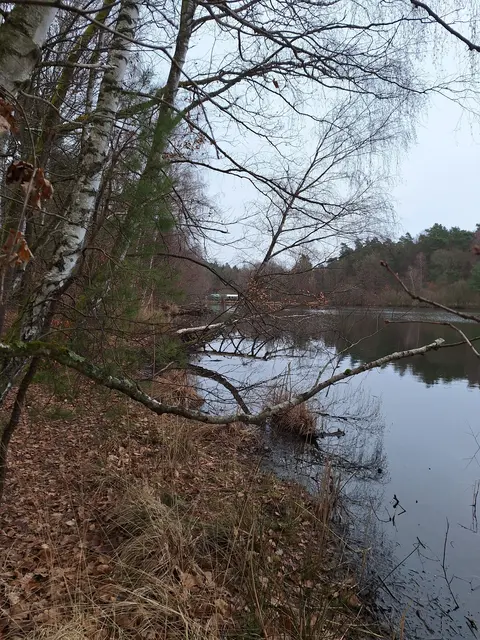 Vogelwoog | Foto: ich