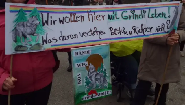 Wir wollen hier mit Grindi leben! Was daran verstehen Politik und Richter nicht? Hände weg vom Grinde-Wolf! | Foto: Barbara Schwarz