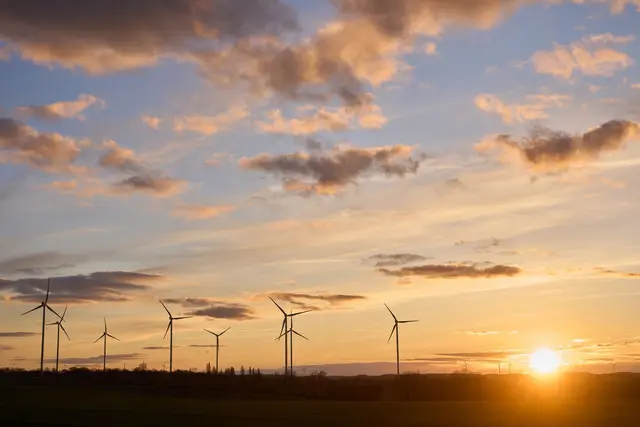Die Sonne bekommen Rheinland-Pfälzer auch in den kommenden Tagen zu sehen.  | Foto: dpa