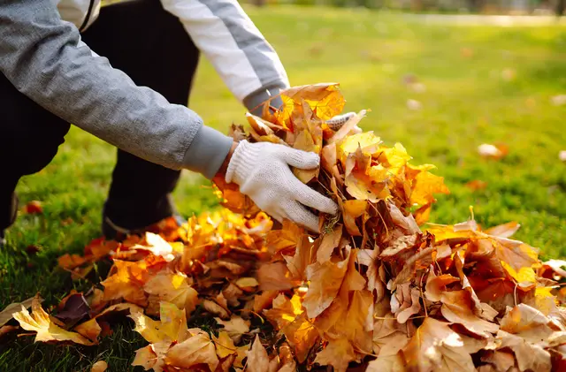 Frühjahrsputz im Garten: Ende März stellt die Stadtbildpflege wieder Sammelcontainer für die kostenlose Grünabfallsammlung bereit  | Foto: maxbelchenko/stock.adobe.com