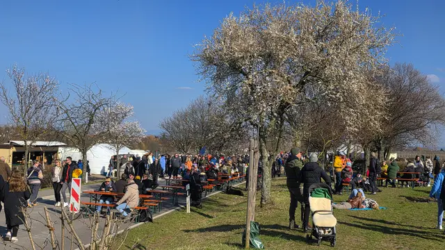 Während der Mandelmeile Edenkoben 2026 genießen Besucherinnen und Besucher Ausblicke bis zur Villa Ludwigshöhe | Foto: Jens Vollmer