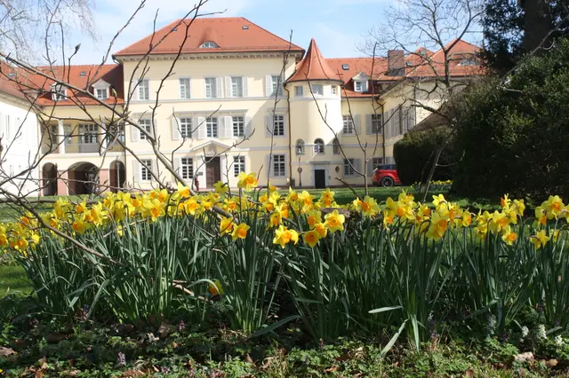 Im Neckarhäuser Schlosspark beginnt es wieder zu blühen.
 
 | Foto: Hannelore Schäfer