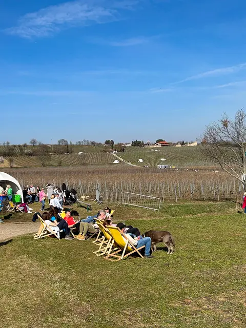 An mehreren Stationen laden Liegestühle zum Durchatmen und Verweilen ein.  | Foto: Stadt Bad Dürkheim