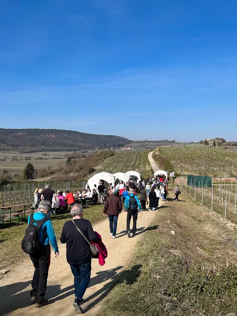 Zum WeinWandel erwarten Dich auf rund 3 Kilometern feine Genussmomente bei den lokalen Wein- und Gastronomiebetrieben. | Foto: Stadt Bad Dürkheim