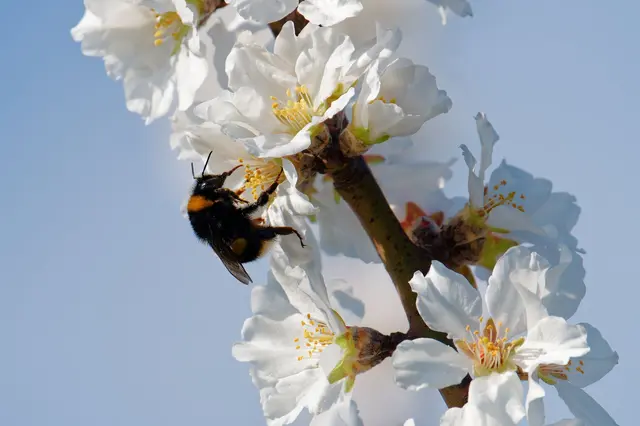 Heiter bis sonnig lautet auch die Vorhersage für die kommenden Tage. (Archivbild) | Foto: dpa
