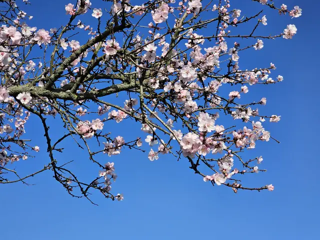 Es fehlt nicht mehr viel (Stand 05.03.2026) | Foto: Eva Bender