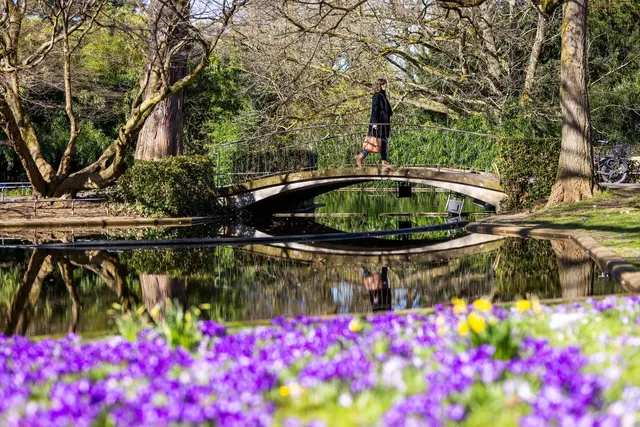 In Baden-Württemberg dominiert weiter das freundliche Wetter. (Archivbild)  | Foto: dpa