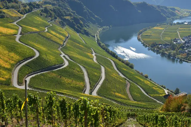 Die Mosel zog im Jahr 2025 besonders viele Touristen an. (Archivbild) | Foto: dpa