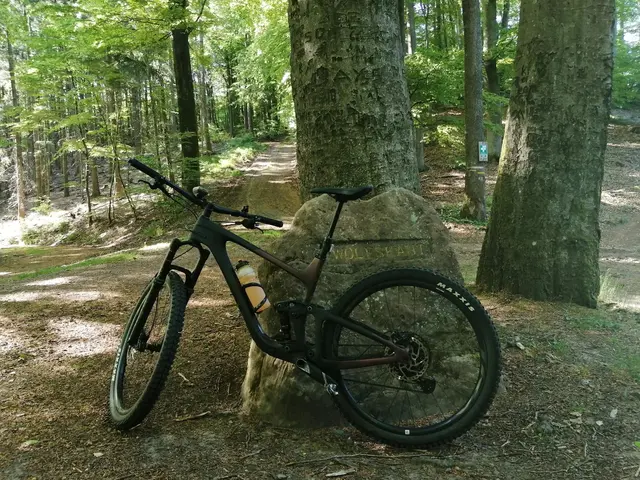 Ritterstein "Wolfskaut" | Foto: ich