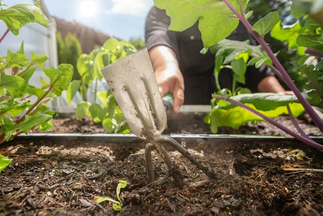 Hochbeet und Gartenumbau sind laut Bundesfinanzhof keine außergewöhnliche Belastung. | Foto: Annabell Gsödl/stock.adobe.com