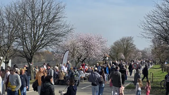 Gut besucht, aber nicht überfüllt | Foto: Jens Vollmer