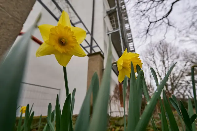  Der Wetterdienst rechnet tagsüber mit mildem Wetter. Nachts kühlt es aber noch deutlich ab. (Archivbild) | Foto: dpa