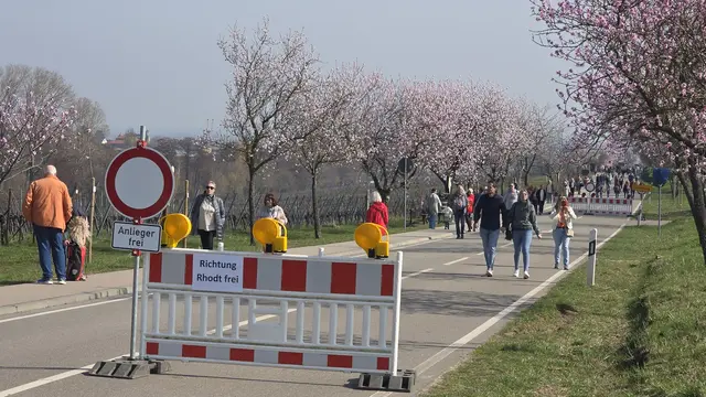 Die Mandelmeile ist auf beiden Seitenabgesperrt, die Durchfahrt nach Rhodt frei | Foto: Jens Vollmer