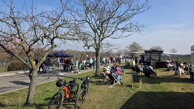 Relaxte Atmosphäre auf der Mandelmeile | Foto: Jens Vollmer