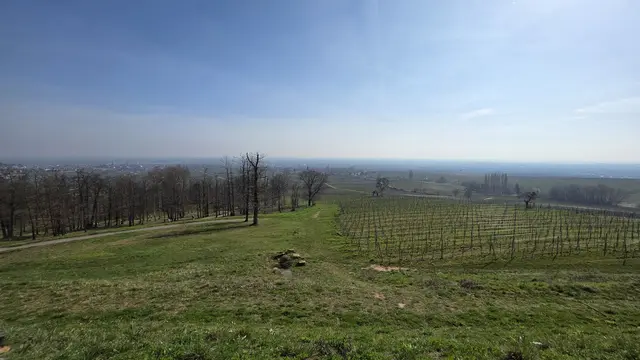 Aussicht von der Villa Ludwigshöhe in die Rheinebene | Foto: Jens Vollmer