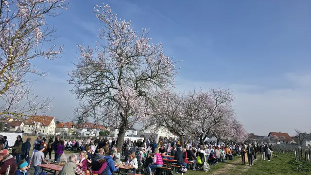 Essen, trinken, sonnen, unterhalten, flanieren - endlich wieder Frühling | Foto: Jens Vollmer