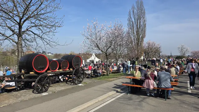 Ausreichend Sitzgelegenheiten in der Frühlingssonne | Foto: Jens Vollmer