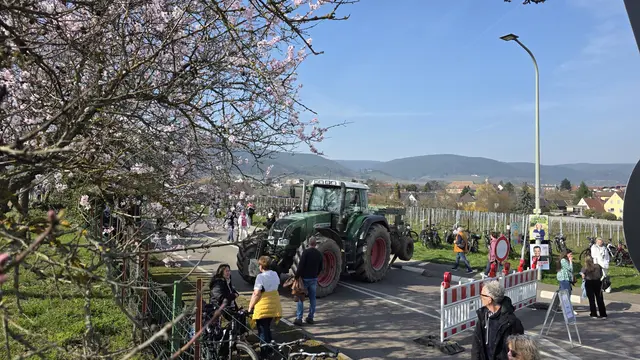 Auch am Ende zum Kreisel hin ist die Villastraße gesperrt | Foto: Jens Vollmer