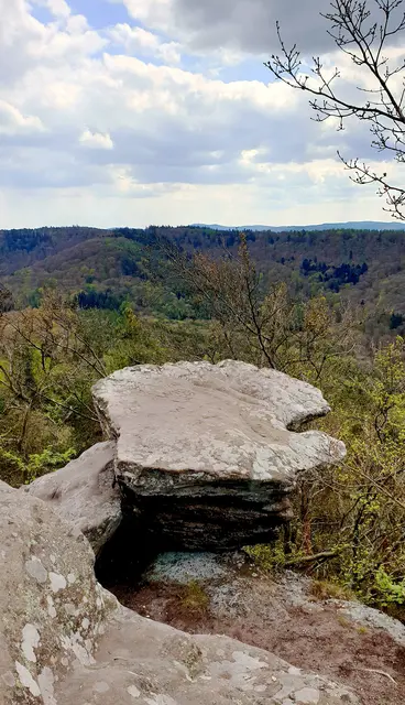 Der Drachenfels zählt zu den magischen Orten der Pfalz. Viele Mythen und Legenden ranken sich um ihn. Sein Gipfelplateau aus Bundsandstein misst stolze 13 Hektar und steht seit 1972 unter Naturschutz. Mit seinen 570 Meter Gipfelhöhle ist er die höchste Erhebung des nördlichen Pfälzerwalds. | Foto: Jens Vollmer