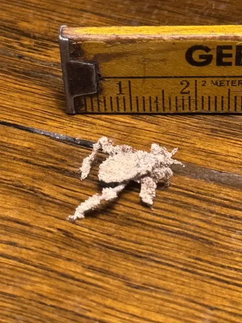 Foto: Christian Wahl