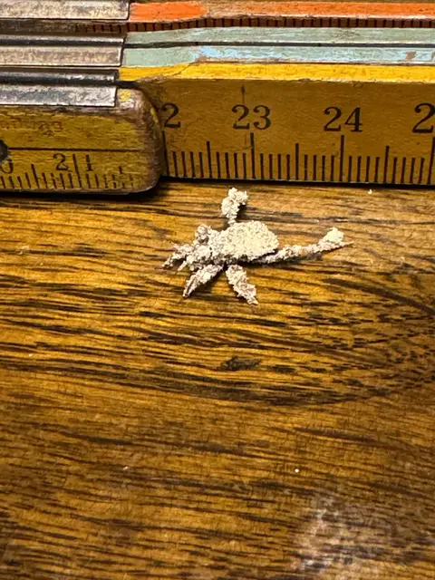 Foto: Christian Wahl